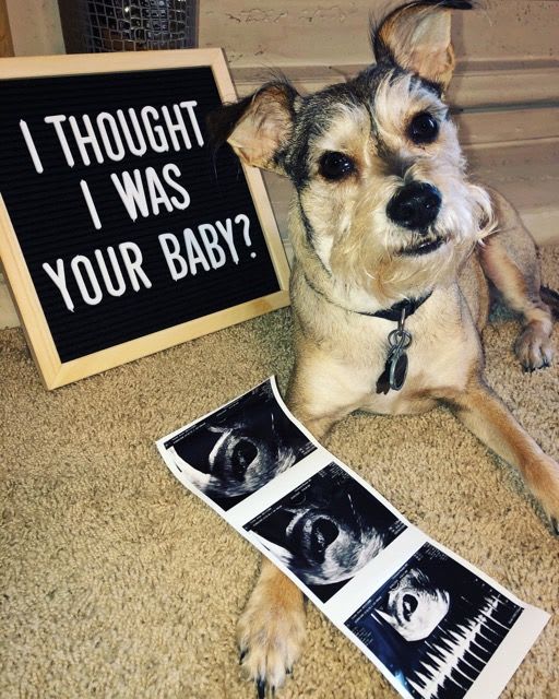 Announcement FUr Baby